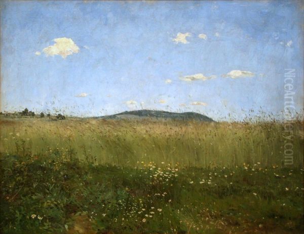 Na vzduchu domova Oil Painting by Frantisek Kavan