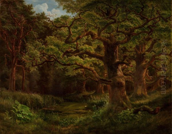 Forest in Choltice near Pardubice Oil Painting by Bedrich Havranek