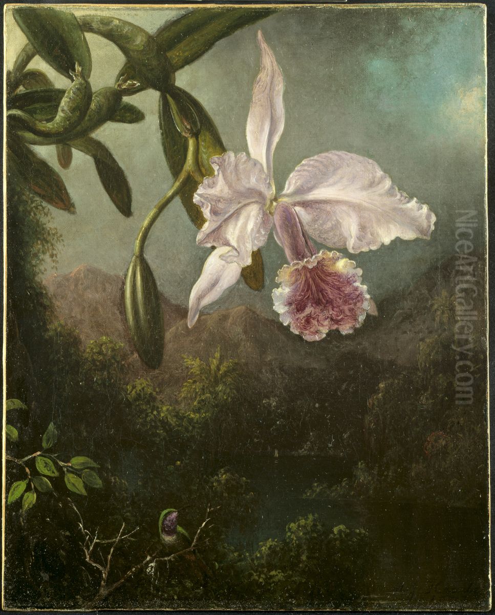 Orchid Blossoms Oil Painting by Martin Johnson Heade