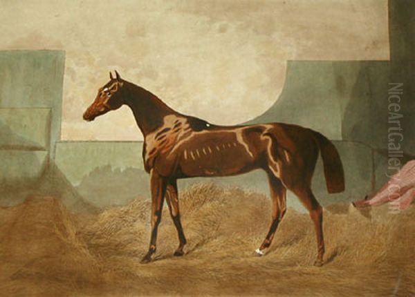 Gladiateur Oil Painting by unknown
