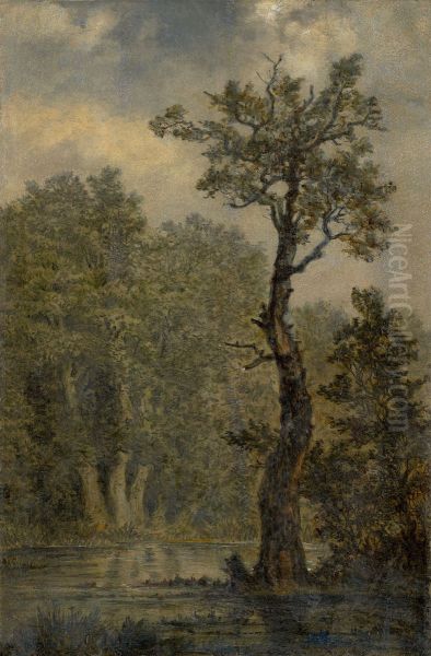 Wooded Landscape Oil Painting by Carl Gustav Carus