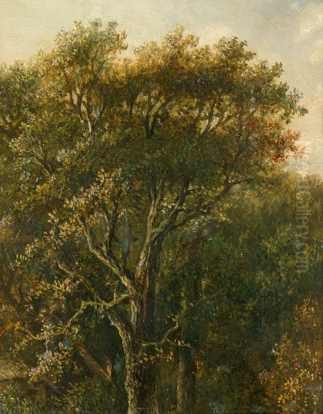 Wooded area with oak tree Oil Painting by Carl Gustav Carus