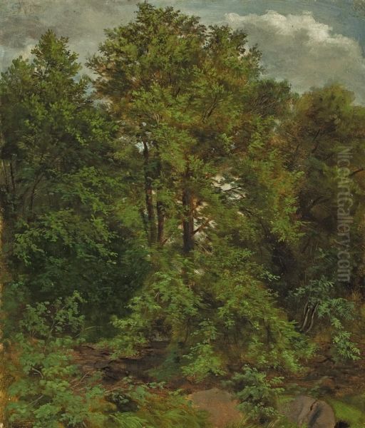 Motif from the Pillnitz Elbe island Oil Painting by Carl Gustav Carus
