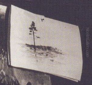 Landscape with a pine