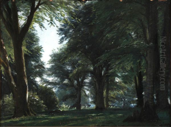 Skovparti med udsprungne bogetraeer. Oil Painting by Christian Zacho