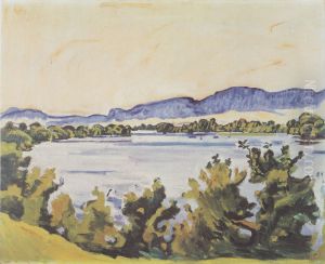 Die Aare bei Solothurn
