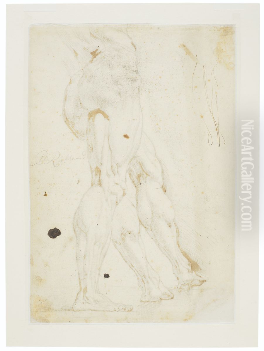 Sketch of the muscle of a leg (verso) Oil Painting by (studio of) Rubens, Peter Paul