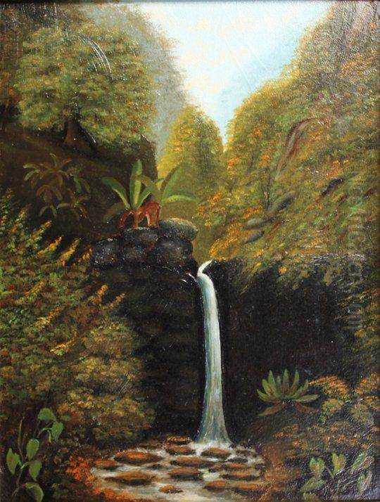 Waterfall at Hanapepe, Kauai Oil Painting by Edward Bailey