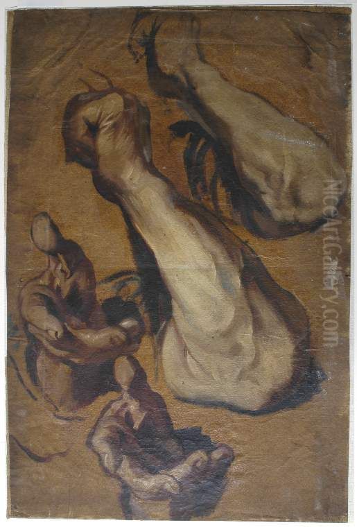 Studies of arms and hands Oil Painting by Jacob Jordaens