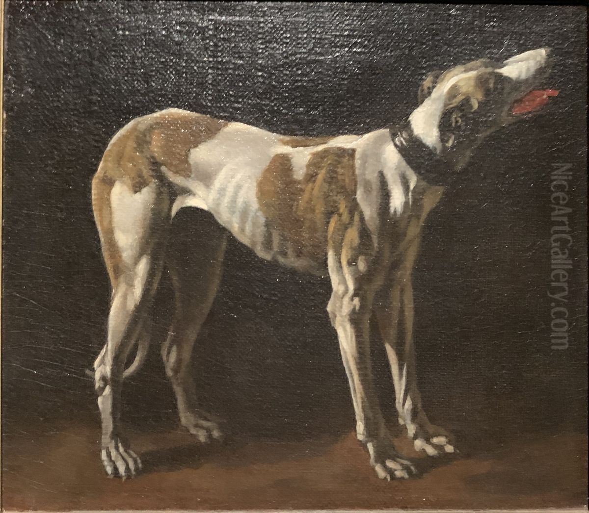 Study of a greyhound Oil Painting by Pieter van Laer