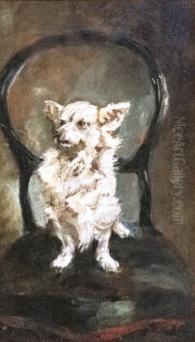 Petite chienne blanche Oil Painting by Henri De Toulouse-Lautrec