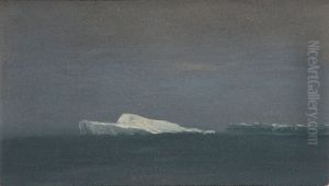 Iceberg