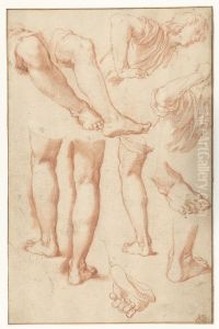 Study of Legs, Feet, and a Young man Study of Legs, Feet, and a Young man