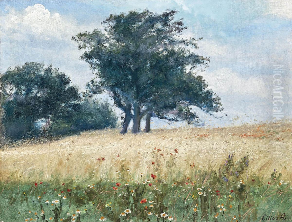 Valmuemarken. Oil Painting by Cilius Andersen Valmuemarken. Oil Painting by Cilius Andersen