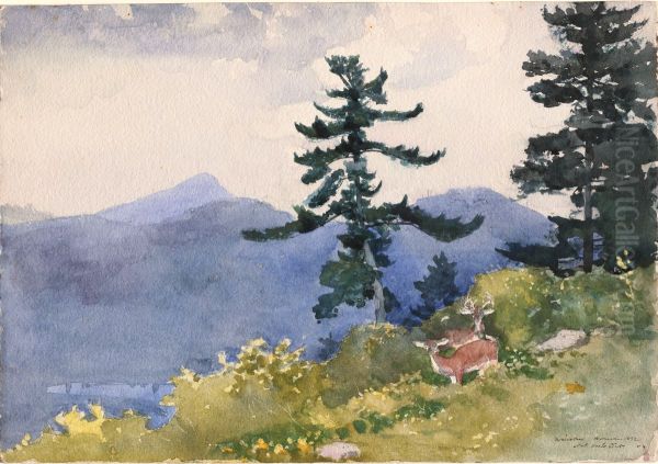 North Woods Club, Adirondacks (The Interrupted Tete-a-Tete) Oil Painting by Winslow Homer