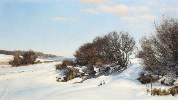 Winter near the lake. Oil Painting by Janus la Cour