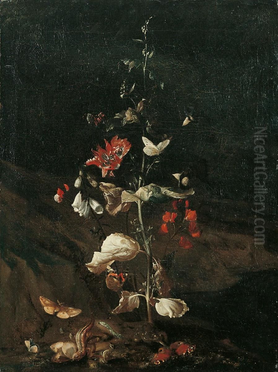 Natura morta con farfalle, rospo e ramarro Oil Painting by Otto Marseus van Schrieck