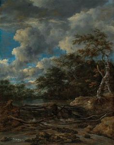 A wooded landscape with a waterfall