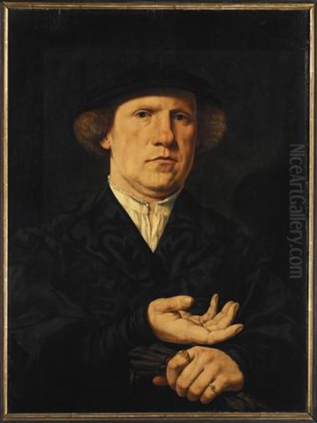 Portrait of Jerome Tucher (1504-1540) Oil Painting by Jan Cornelisz Vermeyen