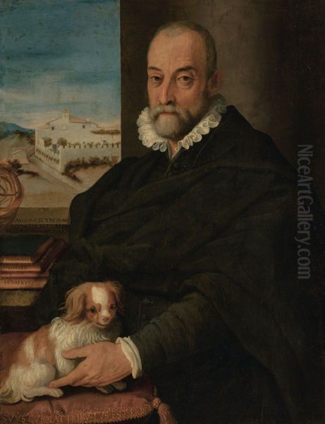 Portrait of Alessandro Allori Oil Painting by Stradanus