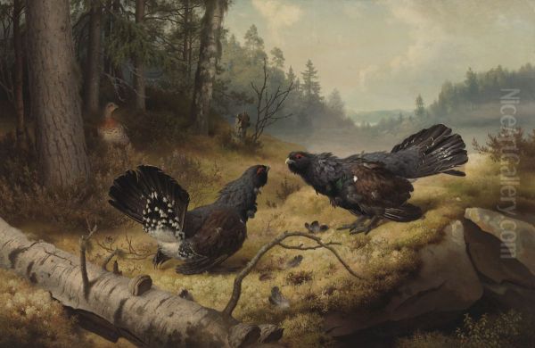 The FightingCapercaillies Oil Painting by Ferdinand von Wright