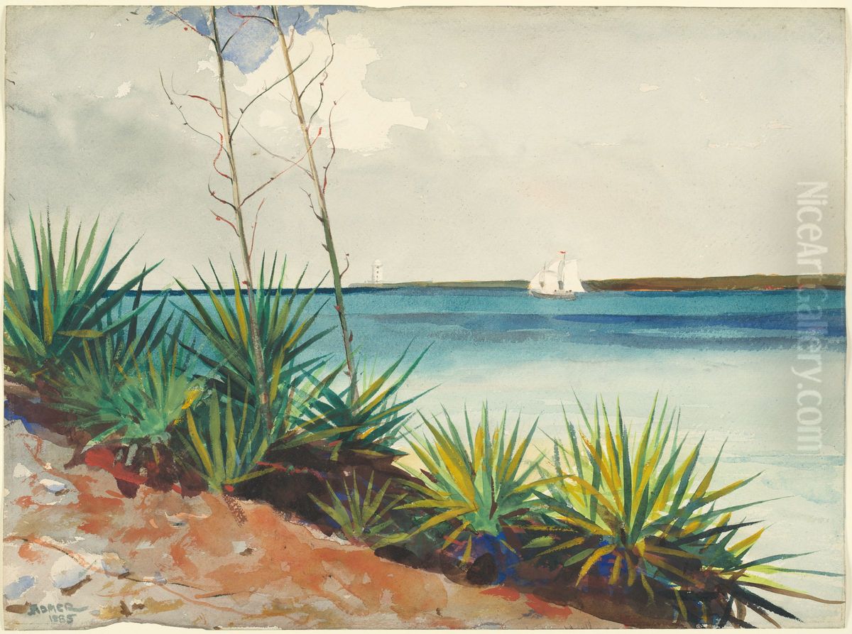 Spanish Bayonets Oil Painting by Winslow Homer