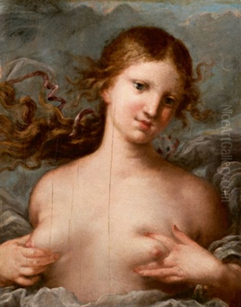 Allegory of femininity Oil Painting by Marco Liberi