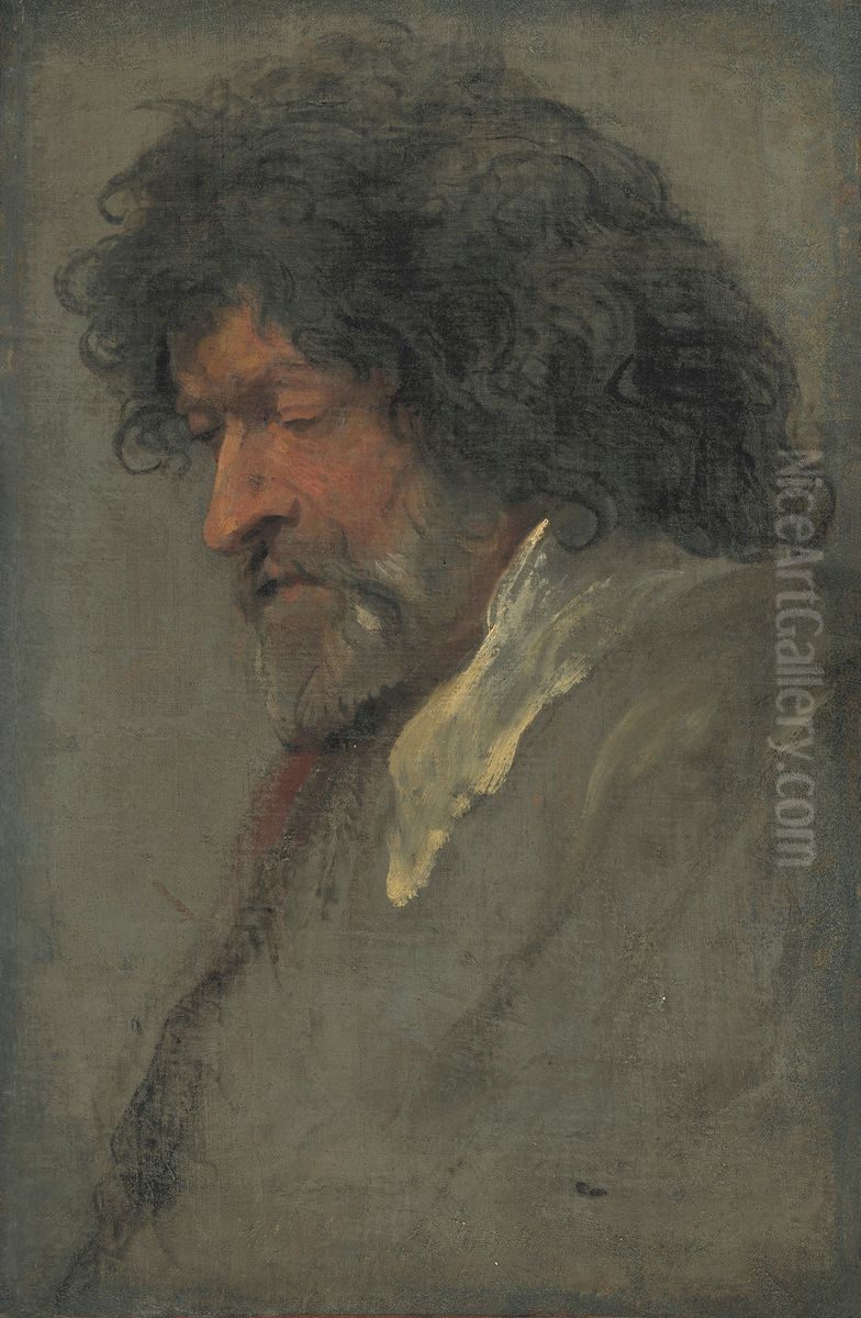 Head study of a man Oil Painting by Sir Anthony Van Dyck