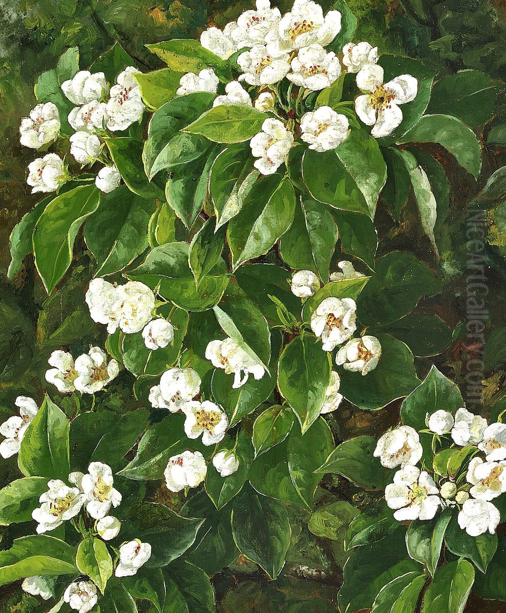 Frugtgren med hvide blomster. Oil Painting by Signe Andreasen