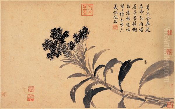 Cockscomb Oil Painting by Shen Zhou