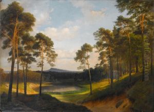 Weite Waldlandschaft mit einem See in der Ferne