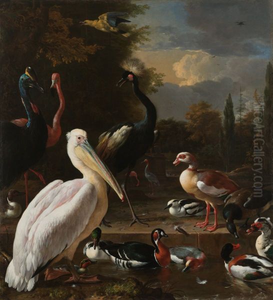 Een pelikaan en ander gevogelte bij een waterbassin, bekend als 'Het drijvend veertje' Oil Painting by Melchior D'Hondecoeter