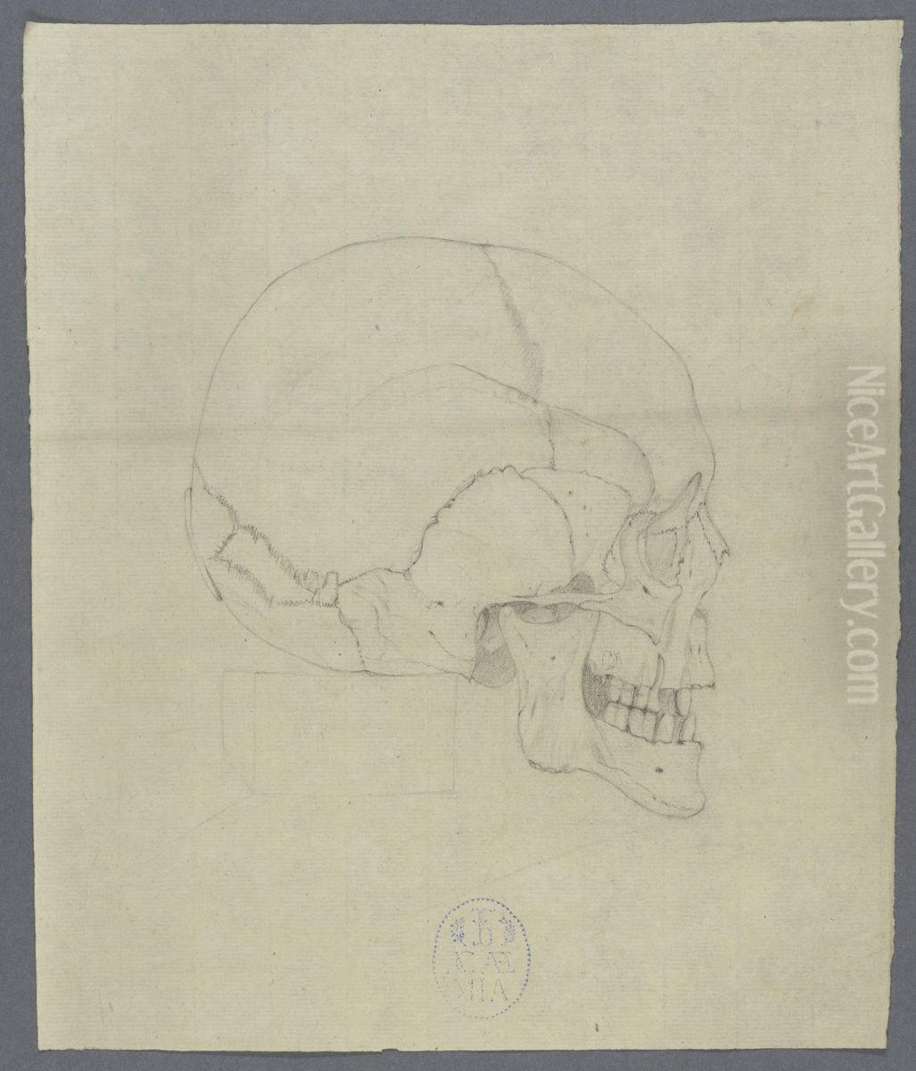 human skull Oil Painting by Musea Brugge