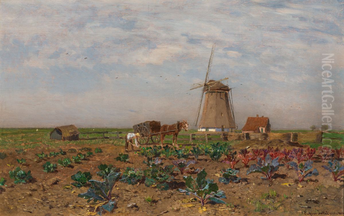 Rotkohlfeld in Holland Oil Painting by Eugen Jettel