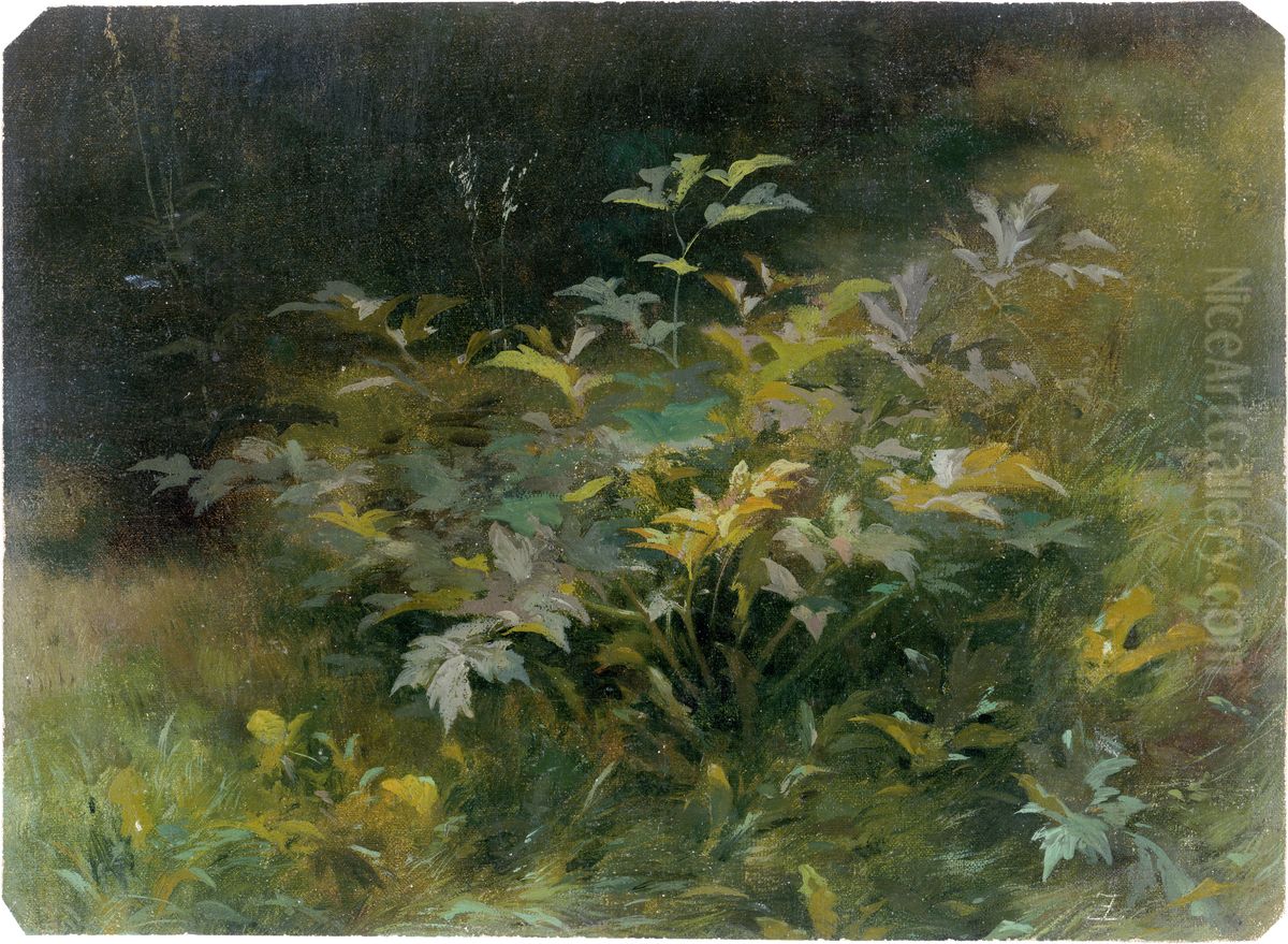 Leafy plants in the summery Friedrichsgrund near Pillnitz Oil Painting by Eduard Leonhardi