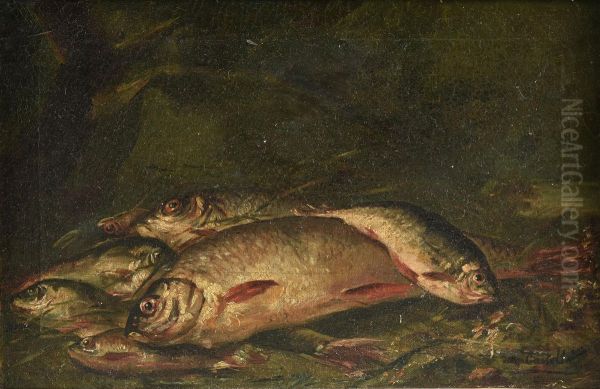 Natura morta con pesci Oil Painting by Alessandro Castelli