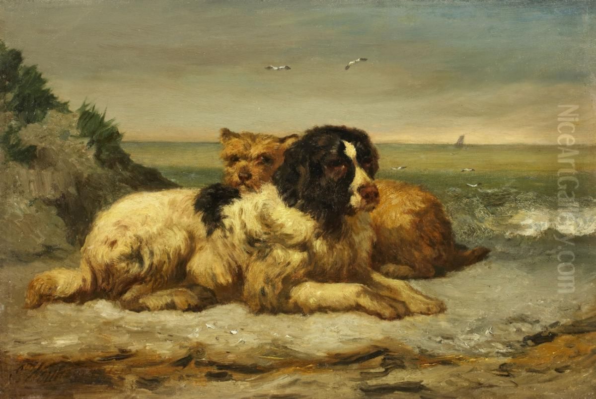 Two dogs at the coast Oil Painting by Edward Woutermaertens