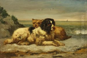 Two dogs at the coast