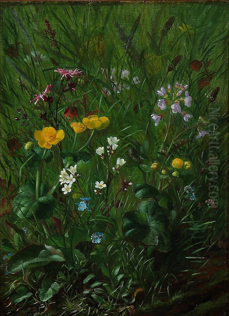 Forest floor in Englund. Oil Painting by Alfrida Baadsgaard