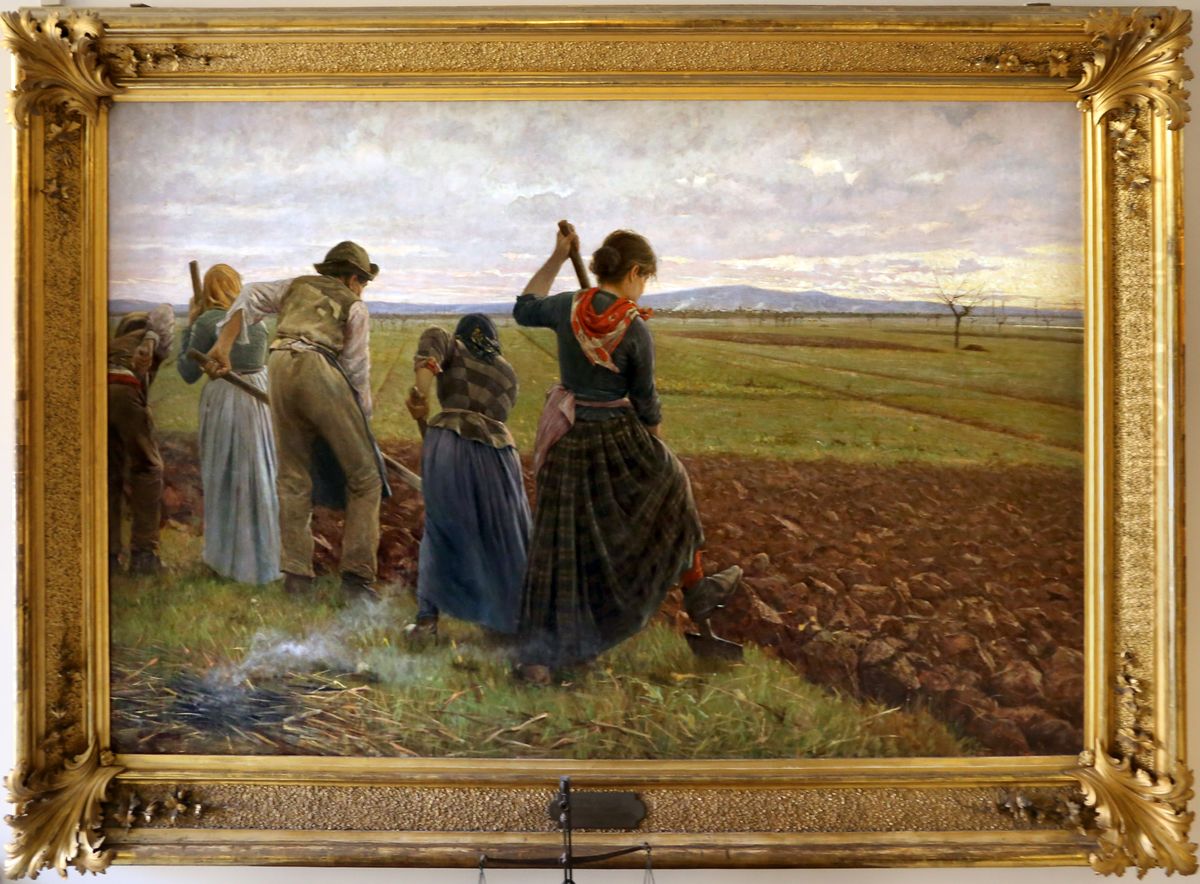Ultime vangate Oil Painting by Angiolo Tommasi