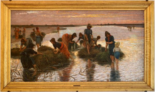 Le gramignaie al fiume Oil Painting by Niccolo Cannicci