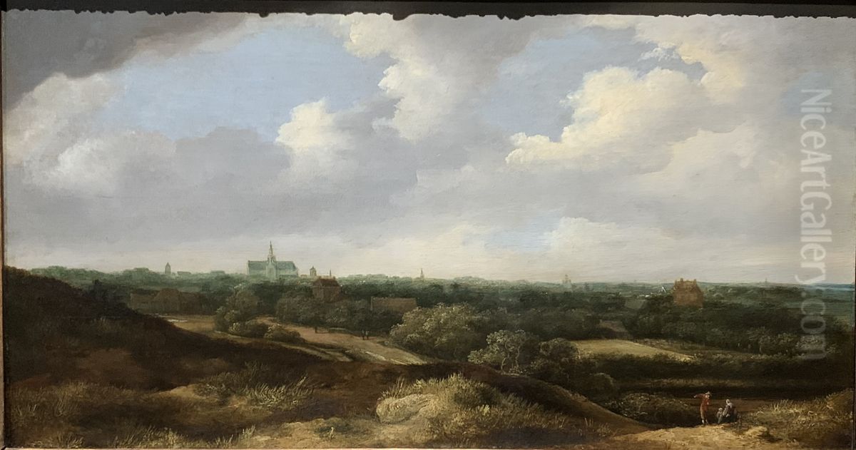 View of Haarlem from the South Oil Painting by Jan Vermeer van Haarlem the Elder