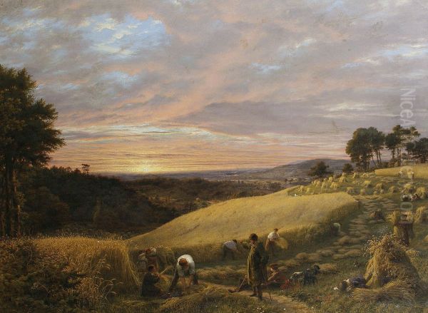 Harvesting at sunset Oil Painting by unknown