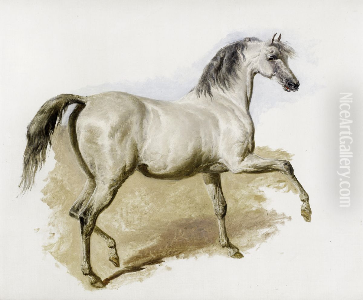 Study of a grey Arab mare Oil Painting by unknown