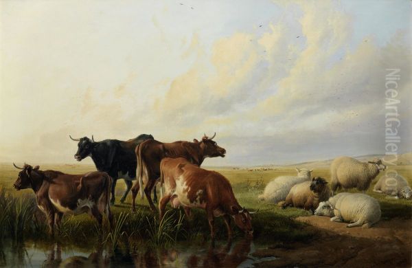 Cattle and sheep resting Oil Painting by unknown