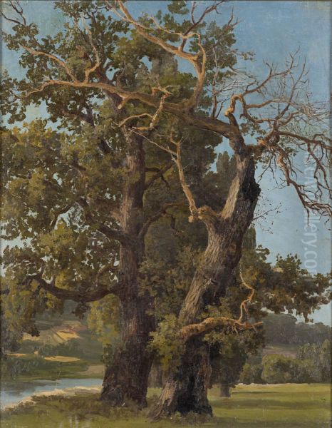 Old Oaks Oil Painting by Victoria Aberg