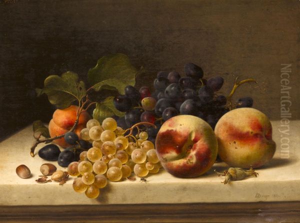 Stilleben mit Pflaumen, Trauben und Haselnussen Oil Painting by Johann Wilhelm Preyer