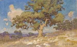 High Desert Oaks