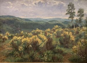 Blooming Gorse