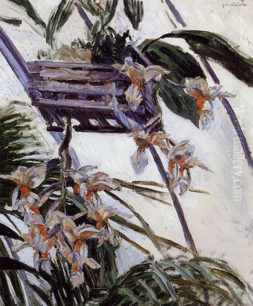 Orchidees Oil Painting by Gustave Caillebotte